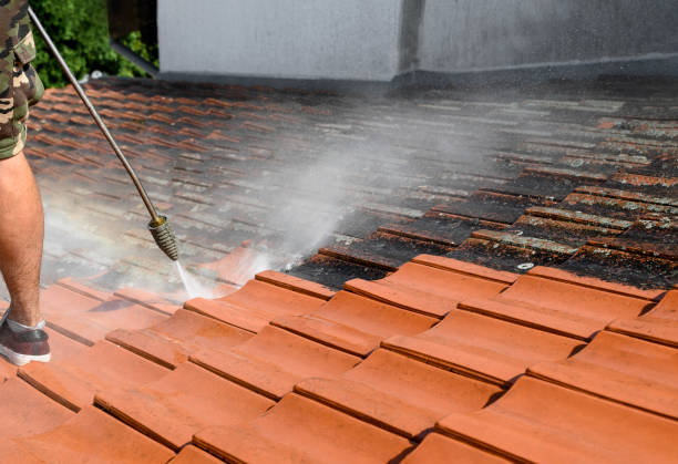 Best Concrete Pressure Washing  in Tenafly, NJ
